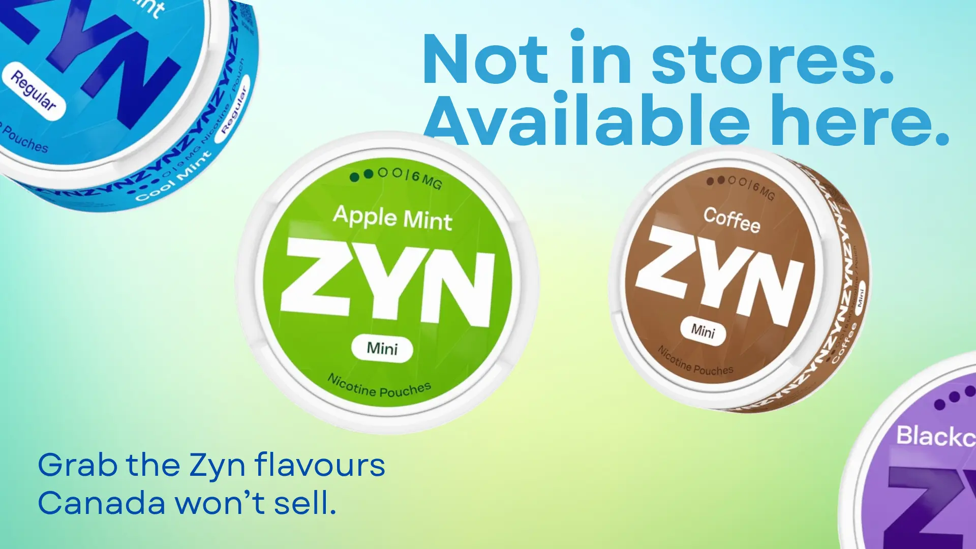 Zyn Flavours Canada Can’t Get – But We Have Them